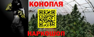 гидропоника Будённовск