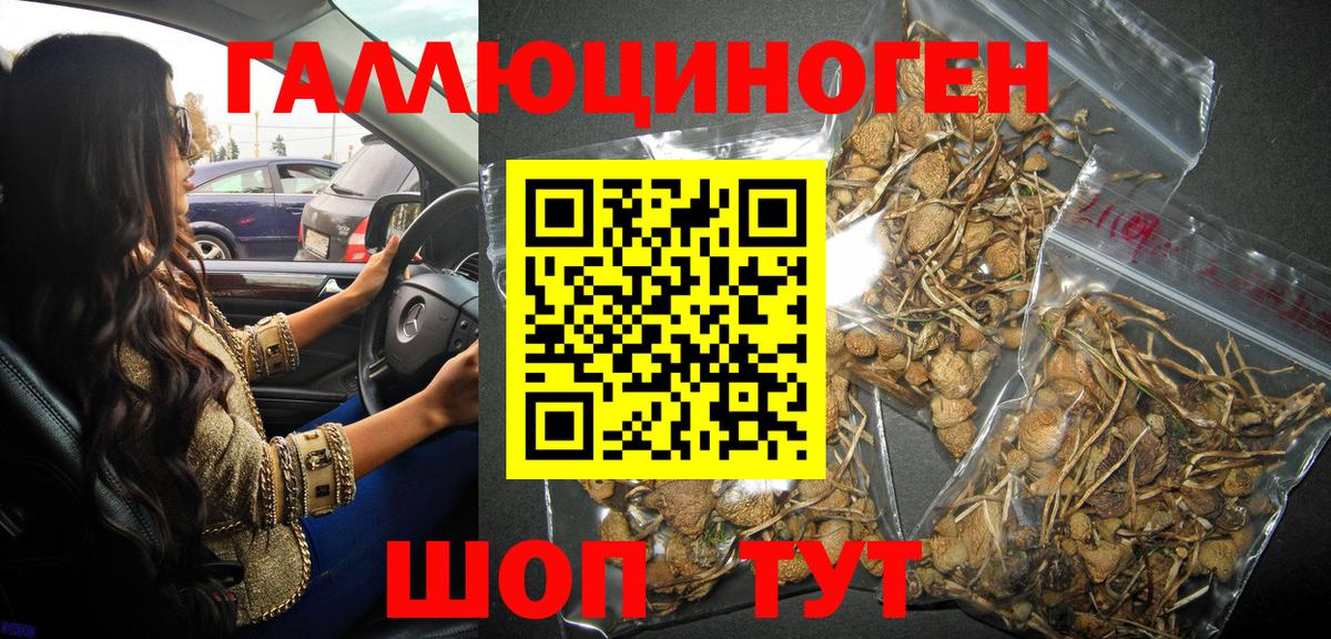 Галлюциногенные грибы Psilocybine cubensis  Вход с VPN  купить  сайты  Орехово-Зуево 