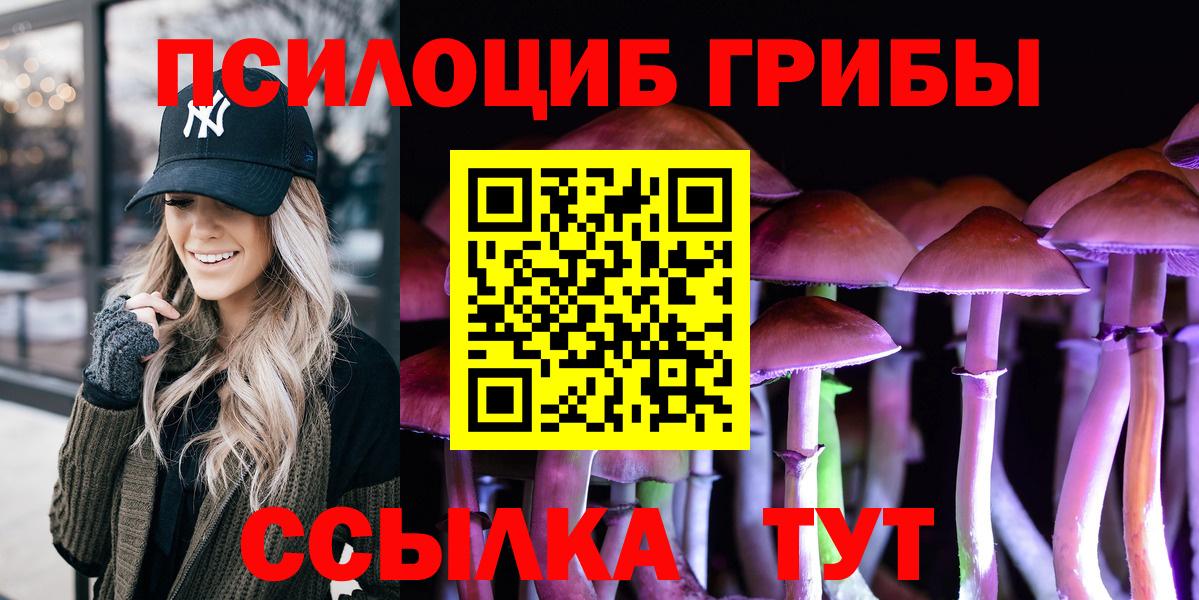 Псилоцибиновые грибы мицелий Орехово-Зуево